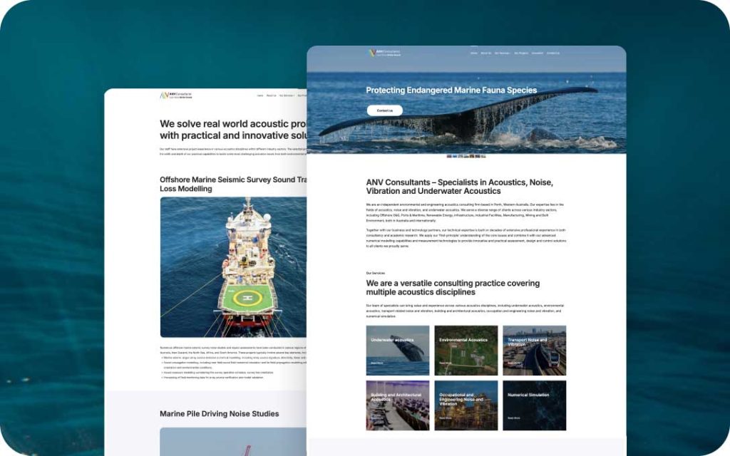 Anv Consultants 网页设计